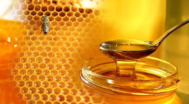 Amazing Things To Know About Honey