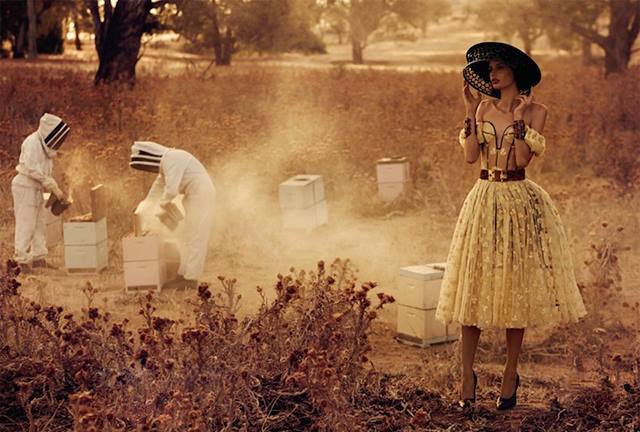 Beekeeping as a new hobby