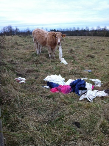 Rubbish in our country side 